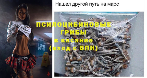 ешки Алзамай