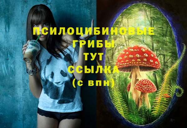 ешки Алзамай