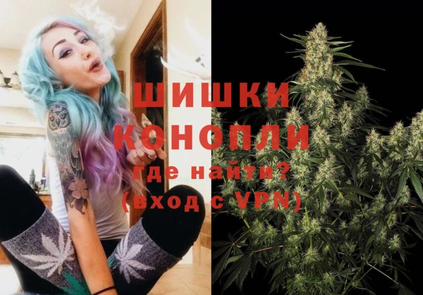 шишки Алексин