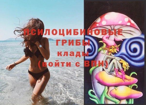 ешки Алзамай