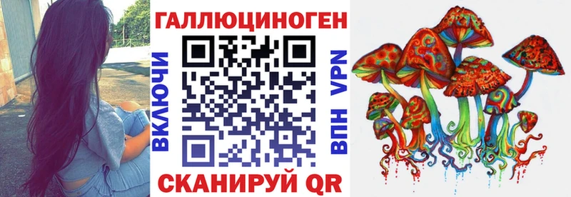 Псилоцибиновые грибы Psilocybe  Макушино 